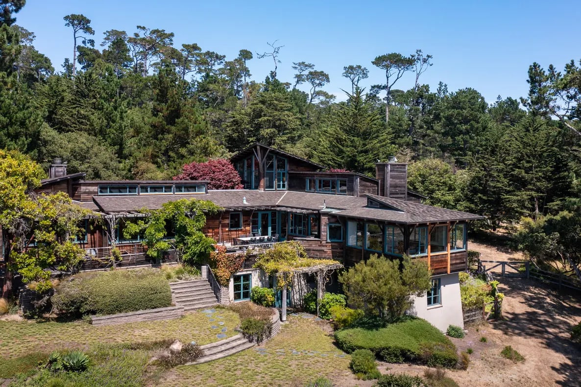 The Treehouse