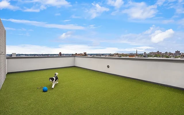 710 Metropolitan Avenue #2L+