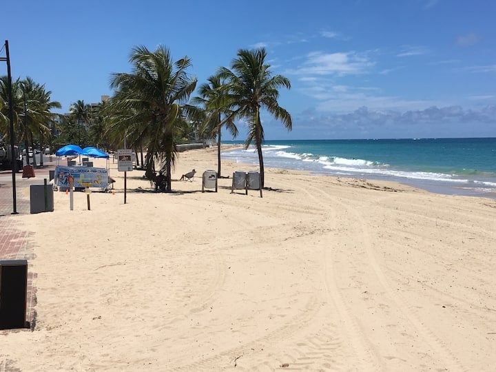 Beach House Apt 10 • 1BR + Sofa Bed • Full Kitchen - Airbnb