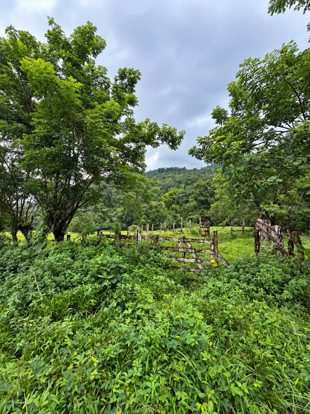 Finca La Cajeta 
