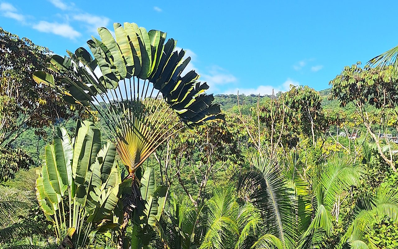 Tropical Getaway with Two Villas and Lush Gardens Near the Heart of Uvita