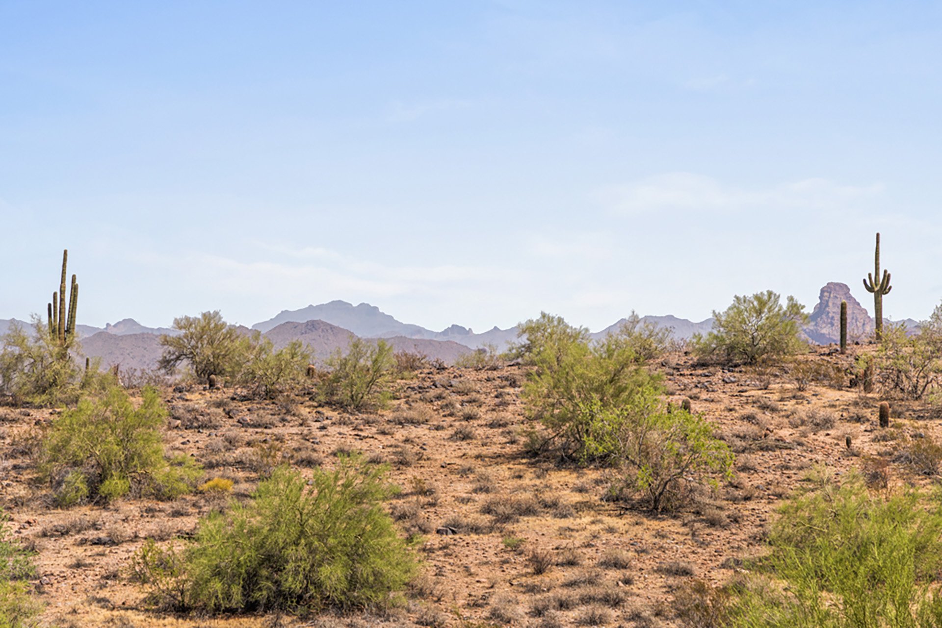 10827 N SONORA Vista