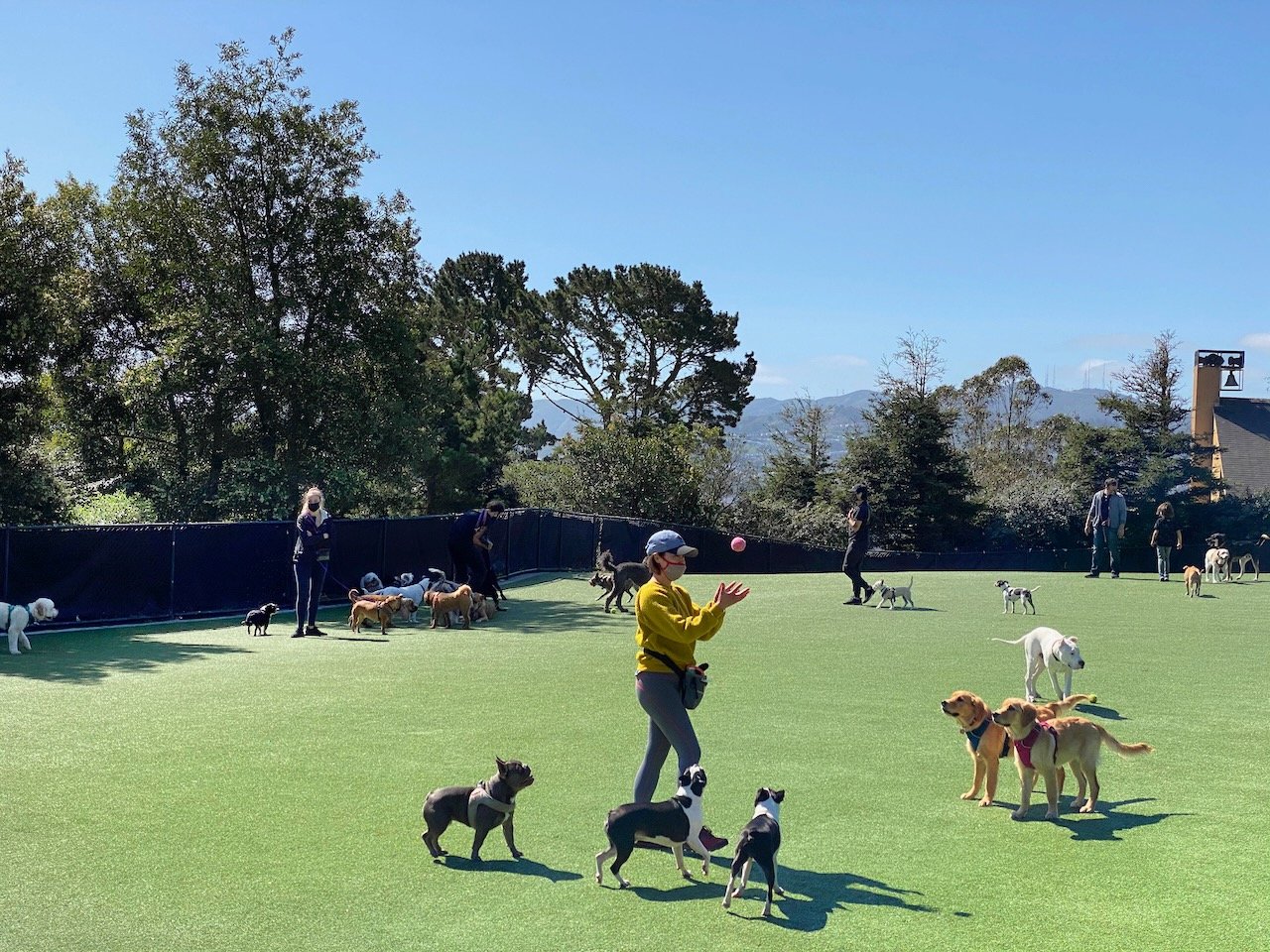 District 5 – Central