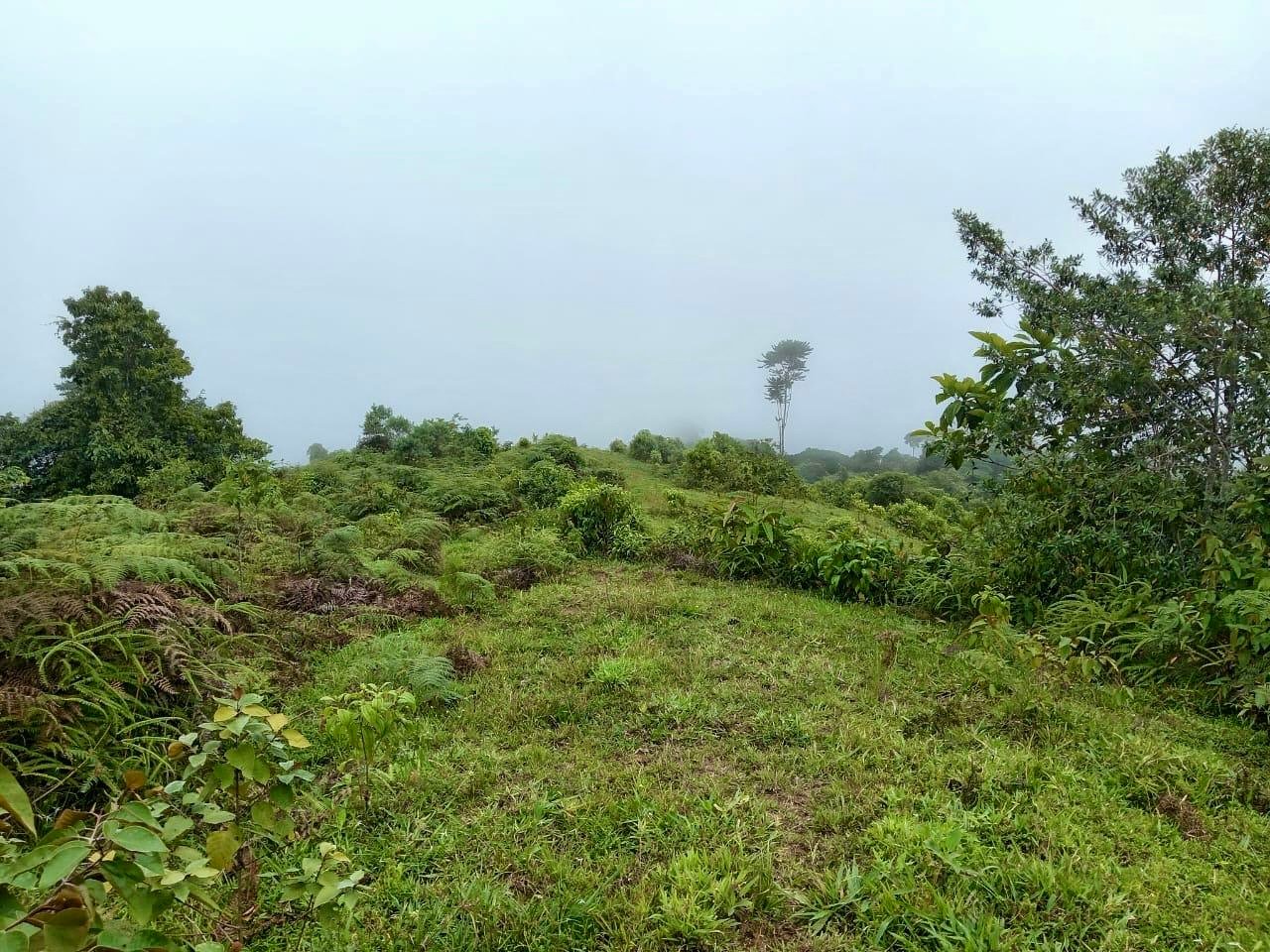 Los Cerritos Farm – 6.4 Acres of Ocean & Mountain Serenity
