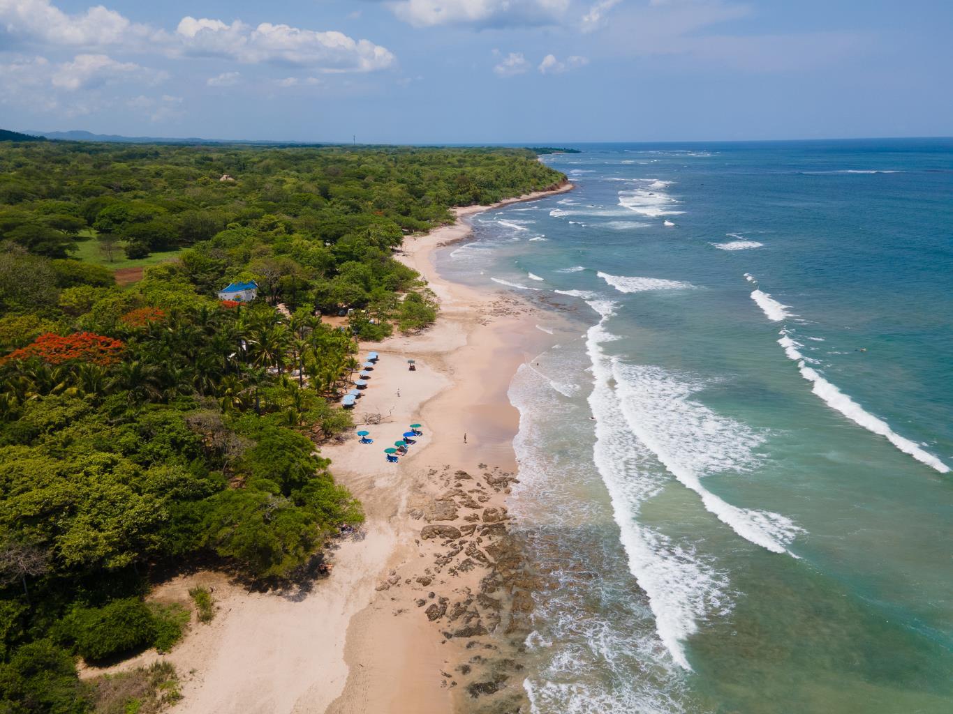 Drift Away Lodge | Near the Coast Hotel/Resort/Hostel For Sale in Playa Avellanas