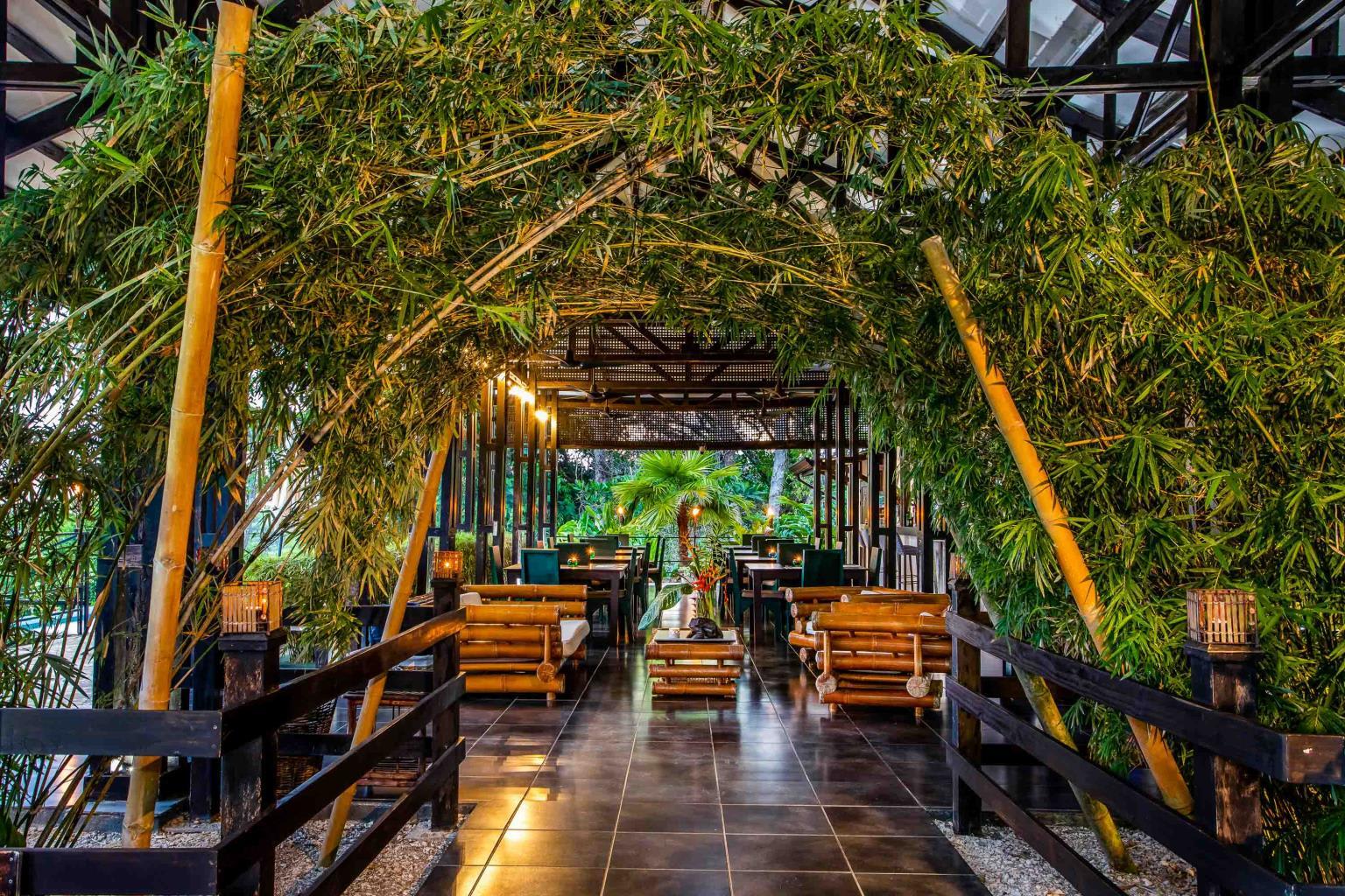 Profitable Boutique Hotel With Room for Expansion Tiki Villas Rainforest Lodge and Spa