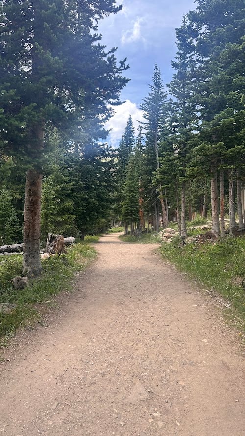 Driving Into the Wild: A Sensory Journey Along Old Fall River Road