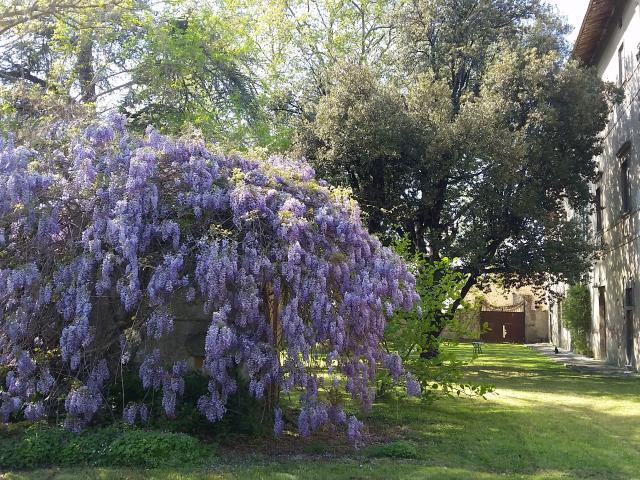 Magnificent Historic Villa in Tuscany