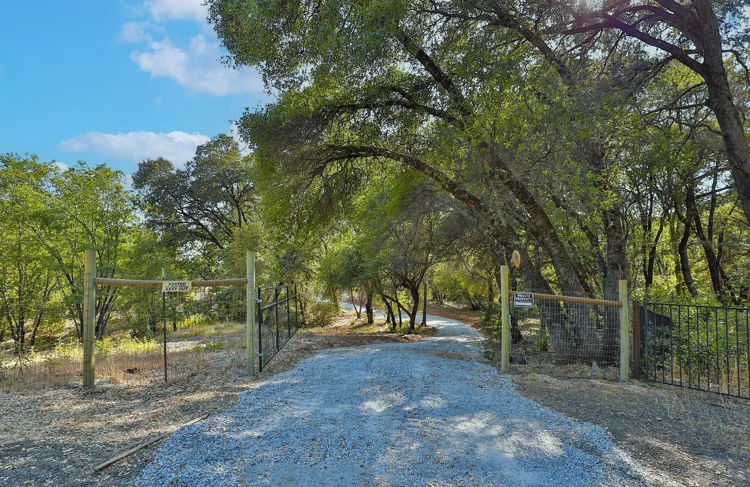 Gold Creek Lane
