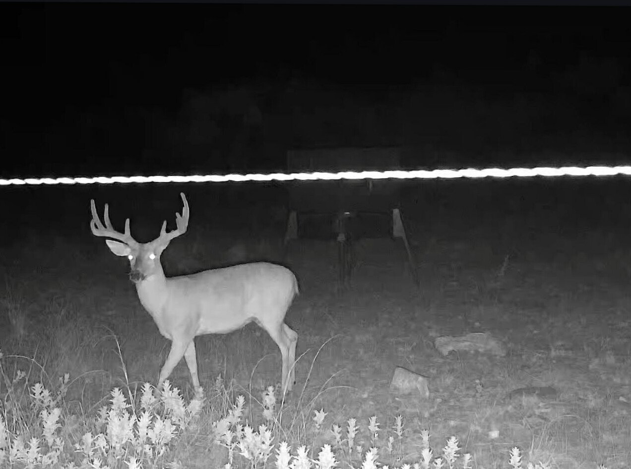1145 AC Coleman County
