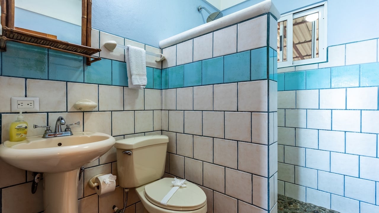 Whale’s Tail Ocean View Estate with Extra Lot in Uvita