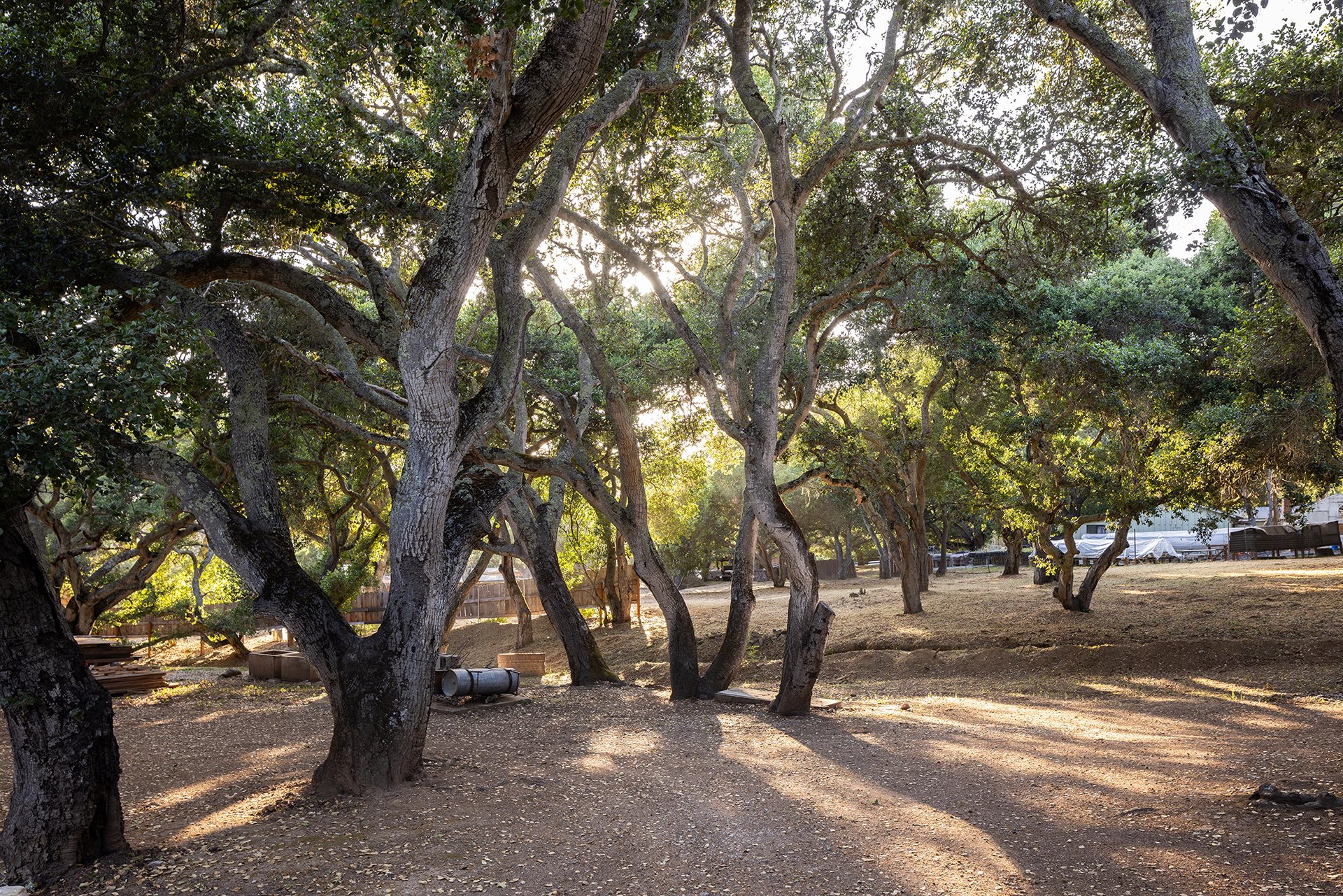 Private Carmel Valley Haven