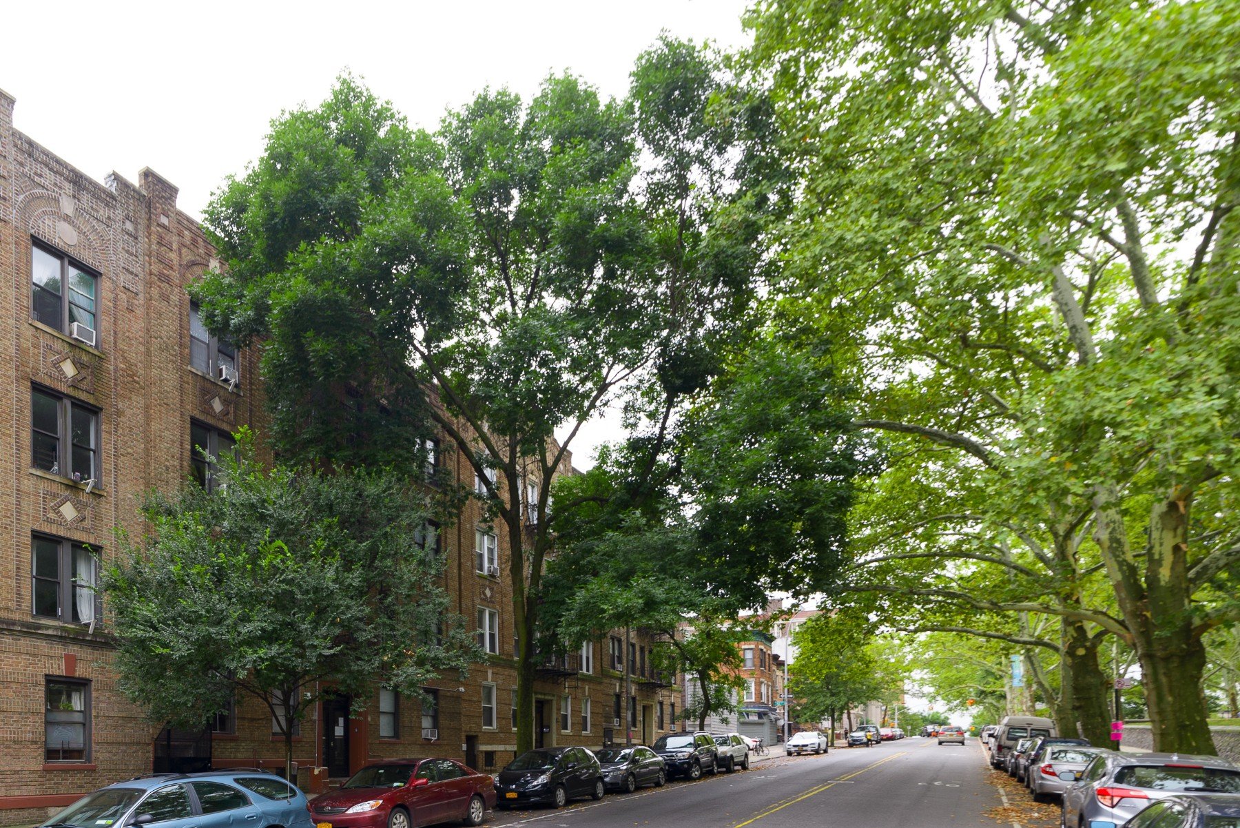 4103 Seventh Avenue Unit: 2A