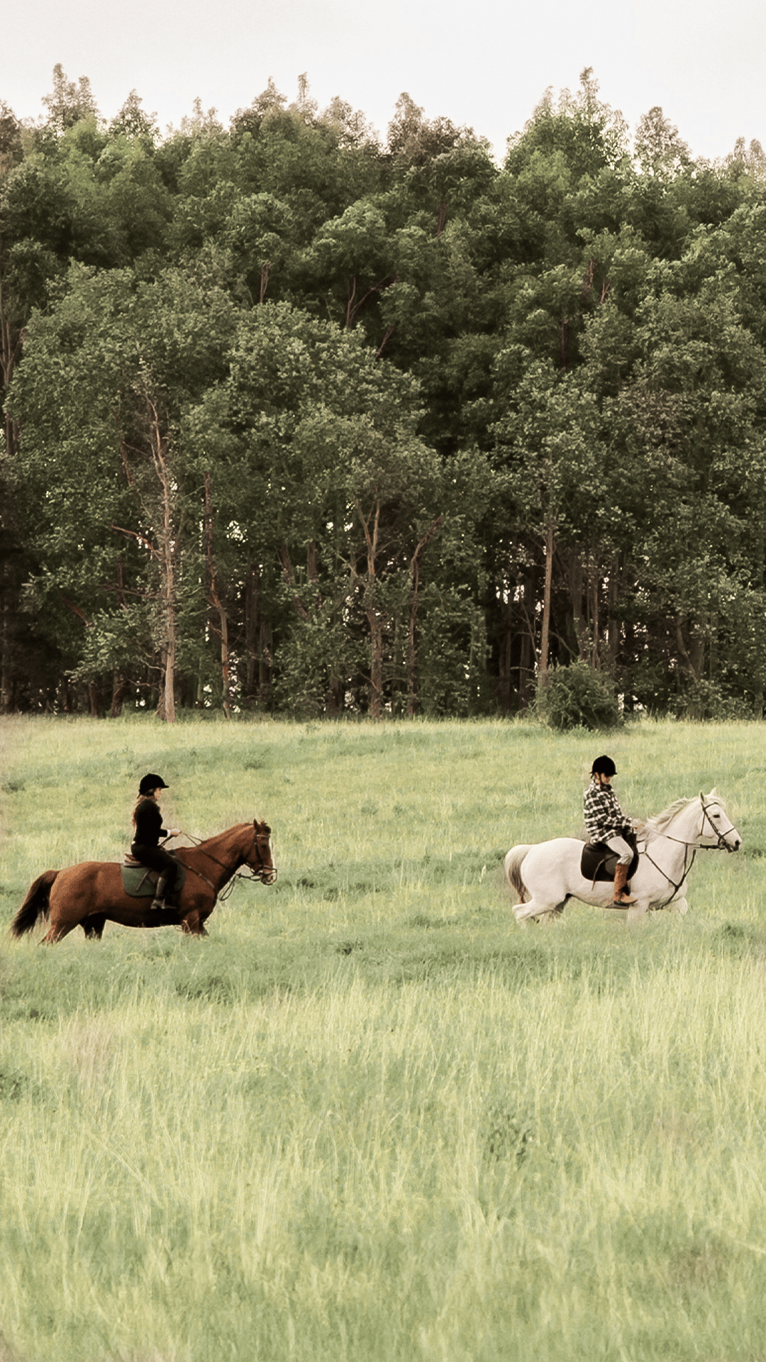 Equestrian Center