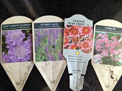 Garden Love!