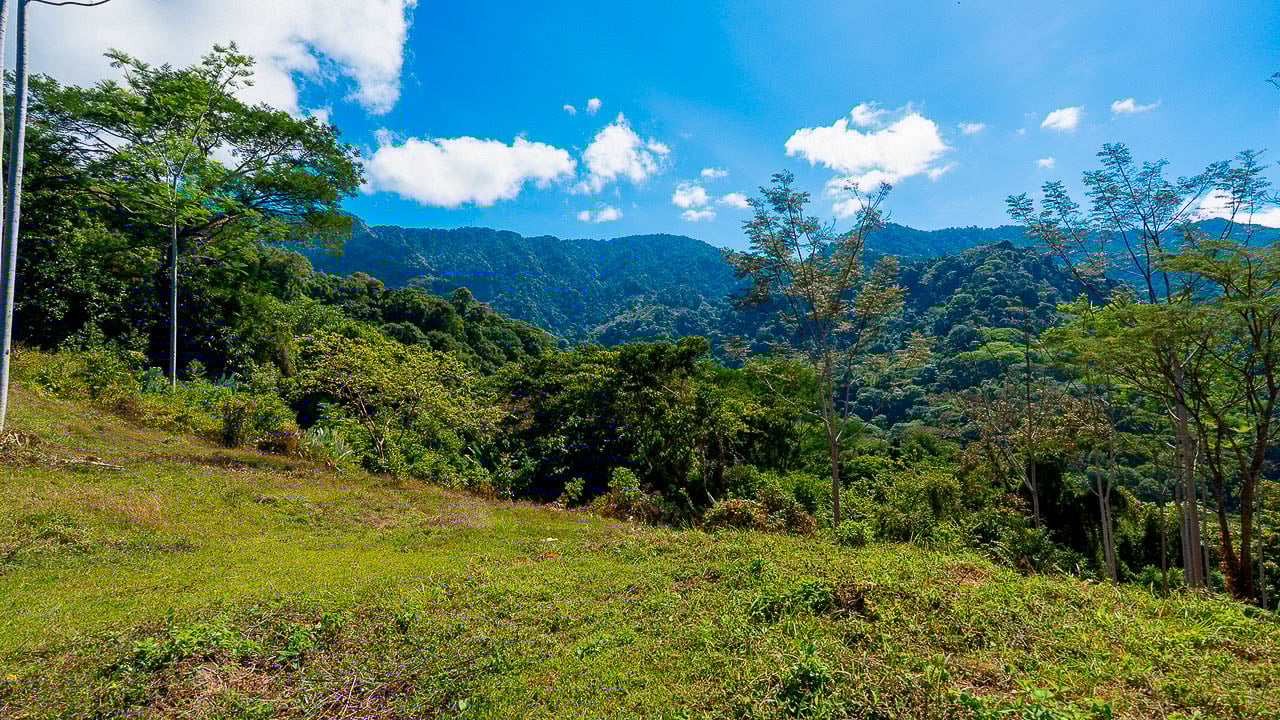 Whale Tail Views Luxury Waterfall Farm