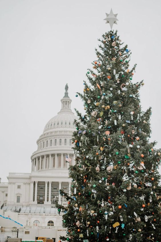 DMV Christmas Celebrations