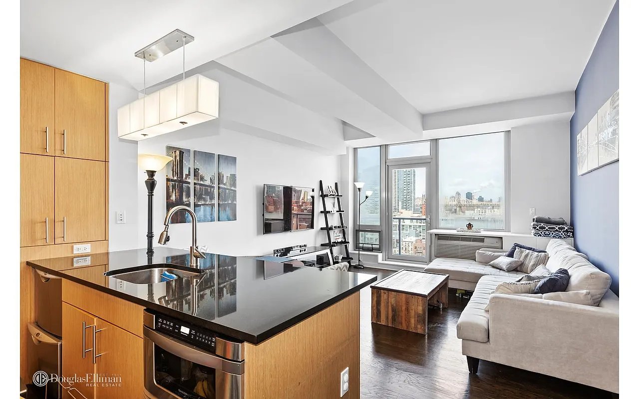 5-49 Borden Ave, #PHC