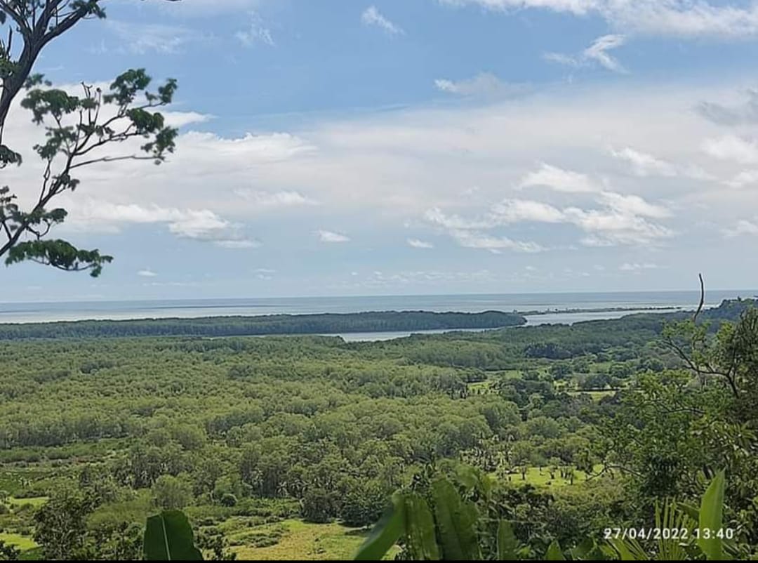 Stunning ocean views & great investment