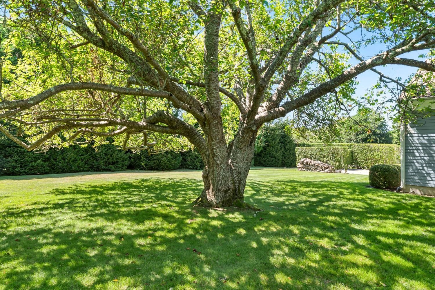 South of the Highway in East Hampton Village