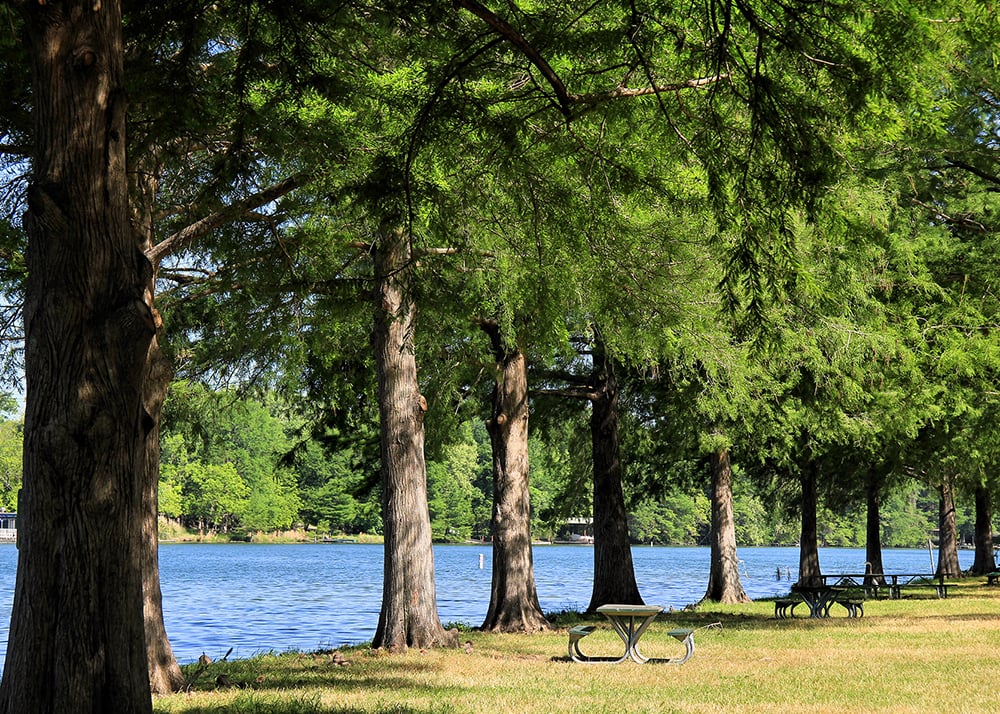 Enchanted Rock State Natural Area