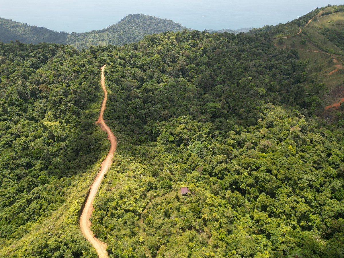 32 ACRES – Mountain Land With Spring, Jungle & Usable Space!!!!