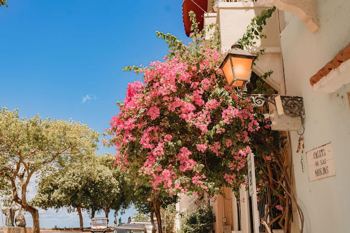 Casa Terra Porto #5 • Ground Floor • Walk to Beach - Airbnb