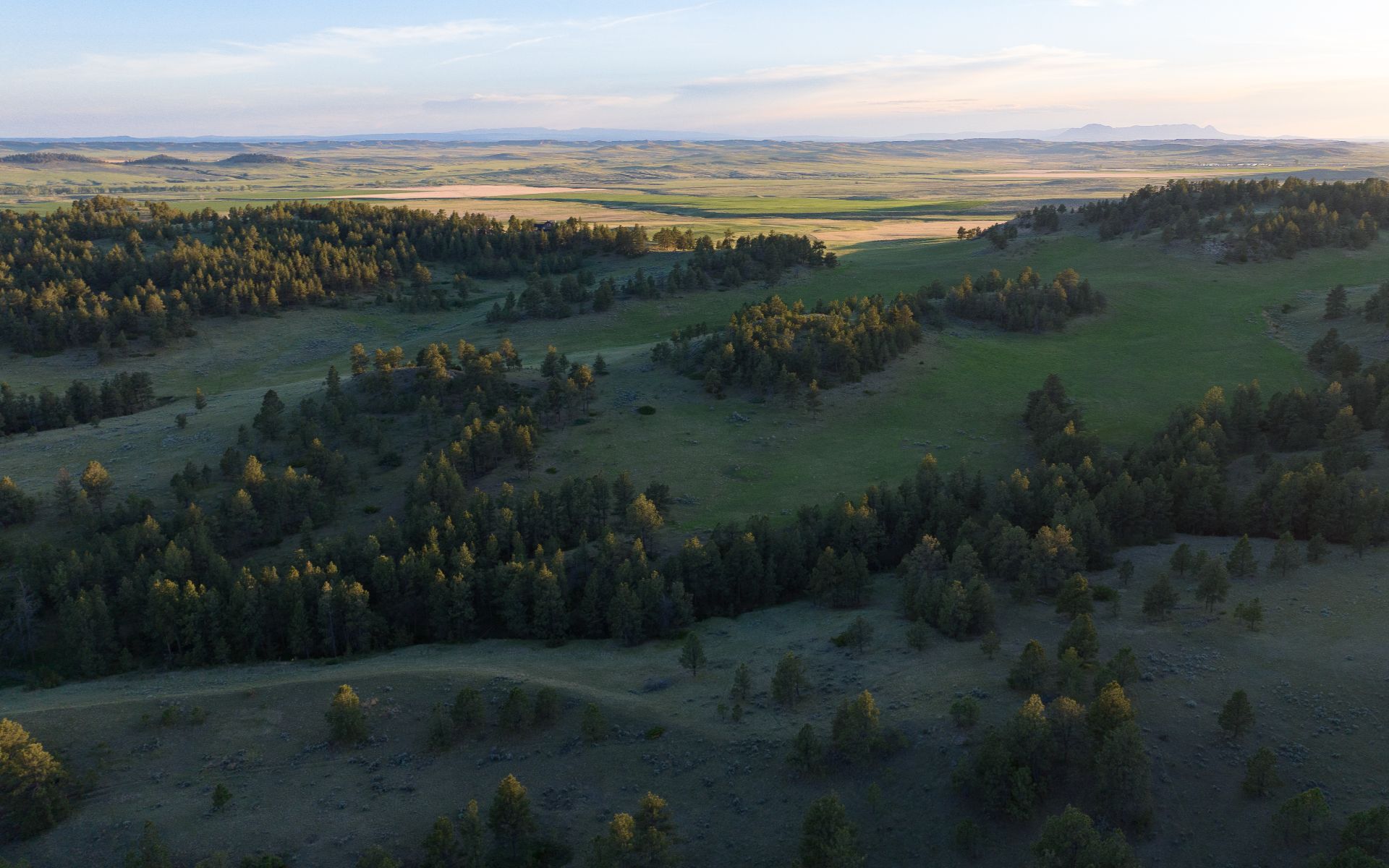 Elk Rich Ranch