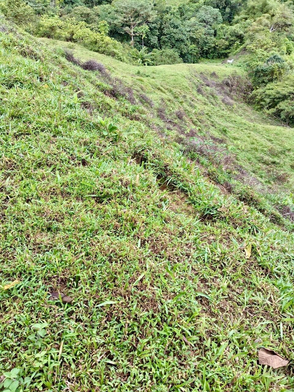 Los Cerritos Farm – 6.4 Acres of Ocean & Mountain Serenity