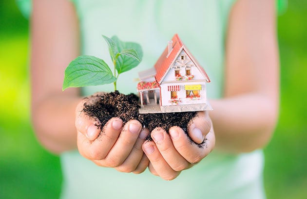 Go Greener at Home