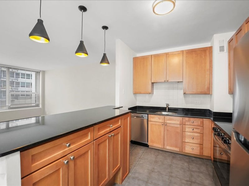 3600 N Lake Shore Dr #207, Chicago, IL 60613