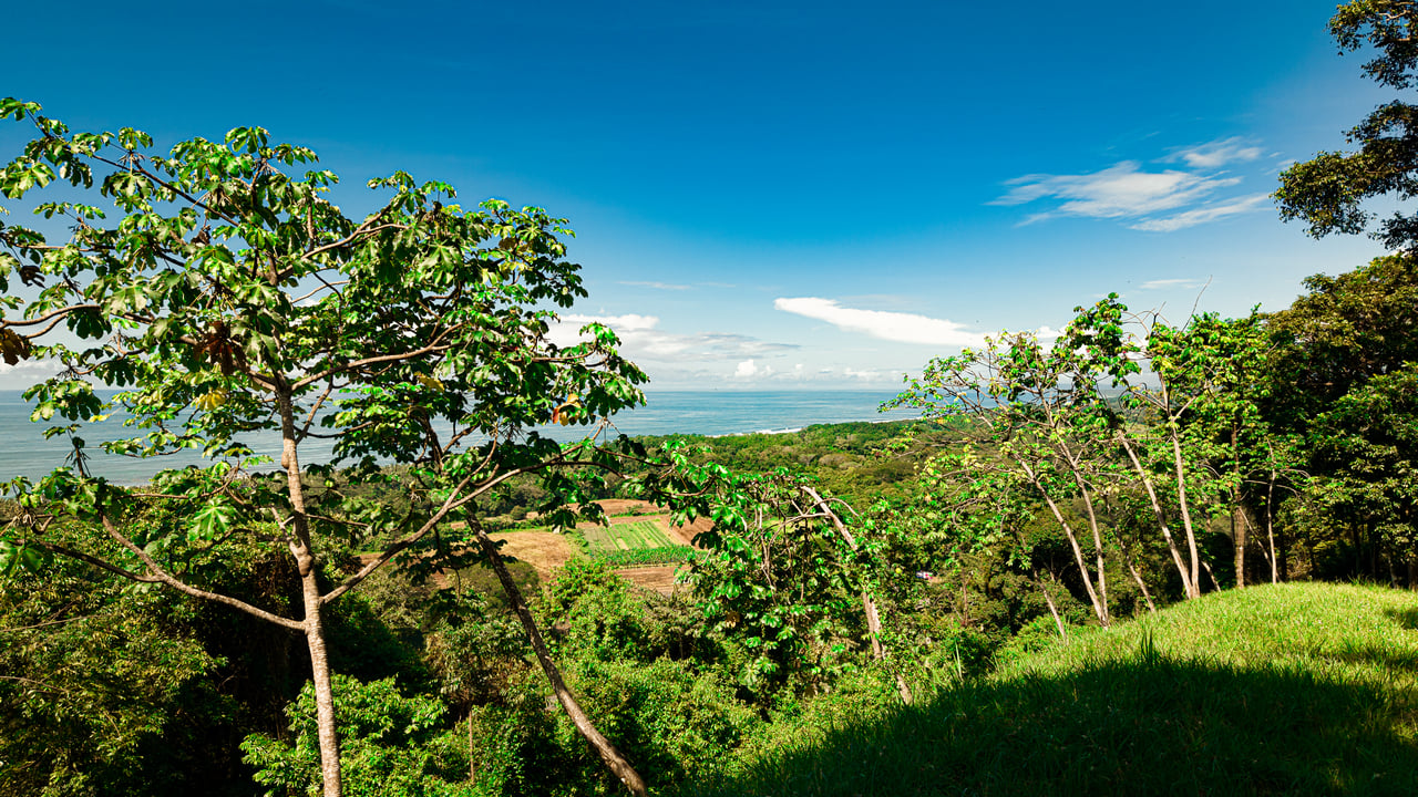 Front Row Ocean View Property with a Private Waterfall