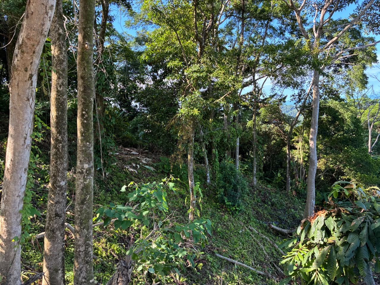 Affordable Ocean View Lot in Ojochal Phase9