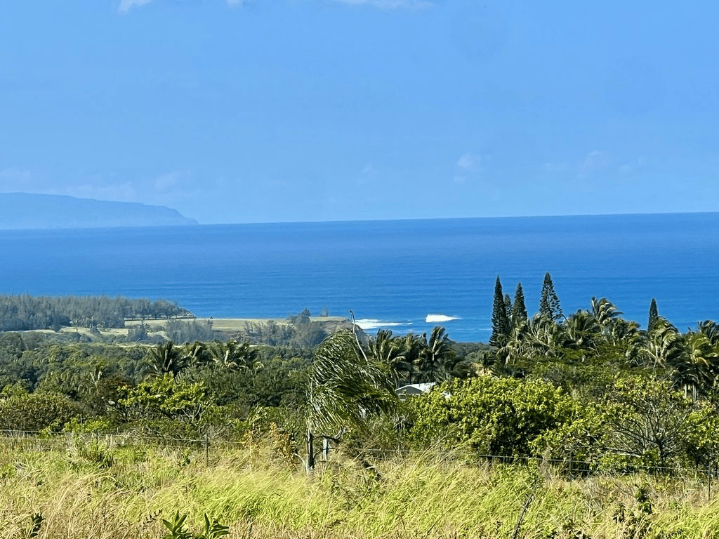 Peahi Estates