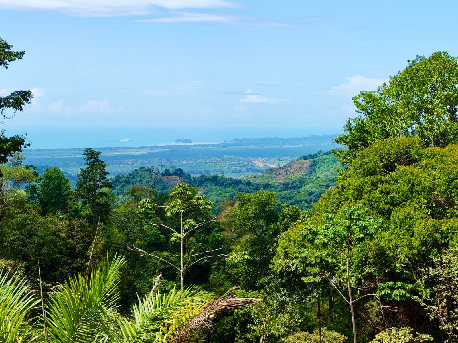 24.7-Acre Ocean View Eco Estate in San Cristóbal de Aguirre | 5 Building Sites