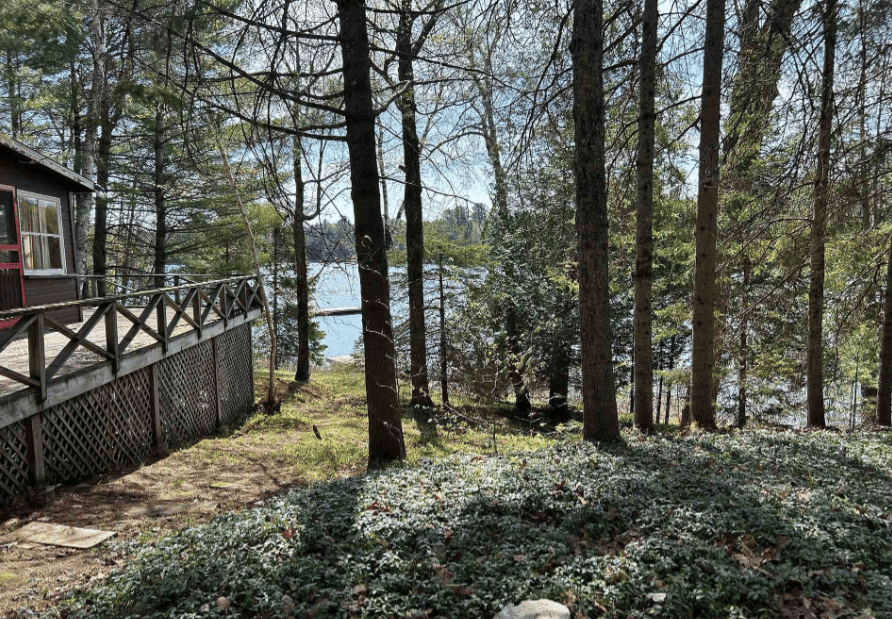 Tooke Lake*