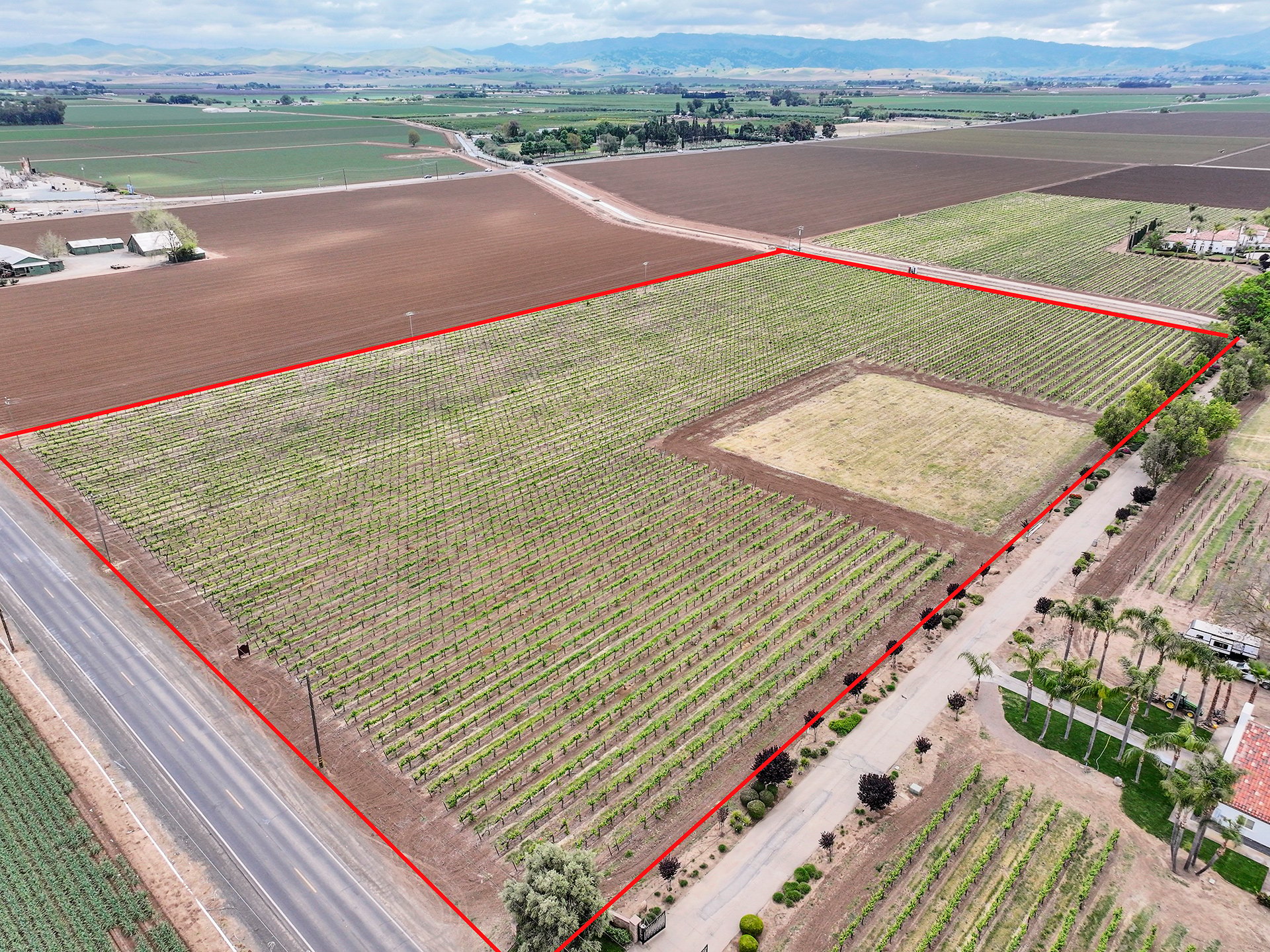 Brentwood Vineyard Estate