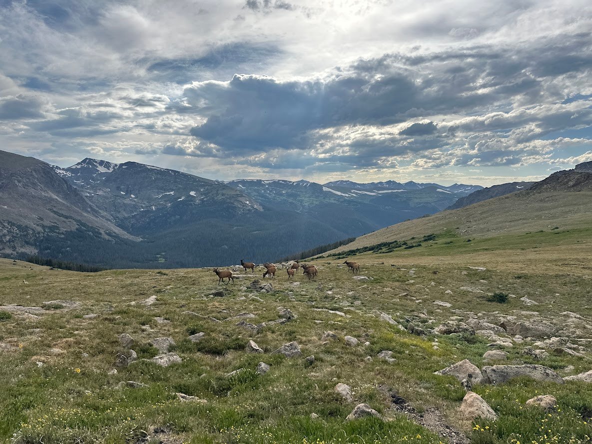 Where the Road Meets the Sky: Driving Trail Ridge Road