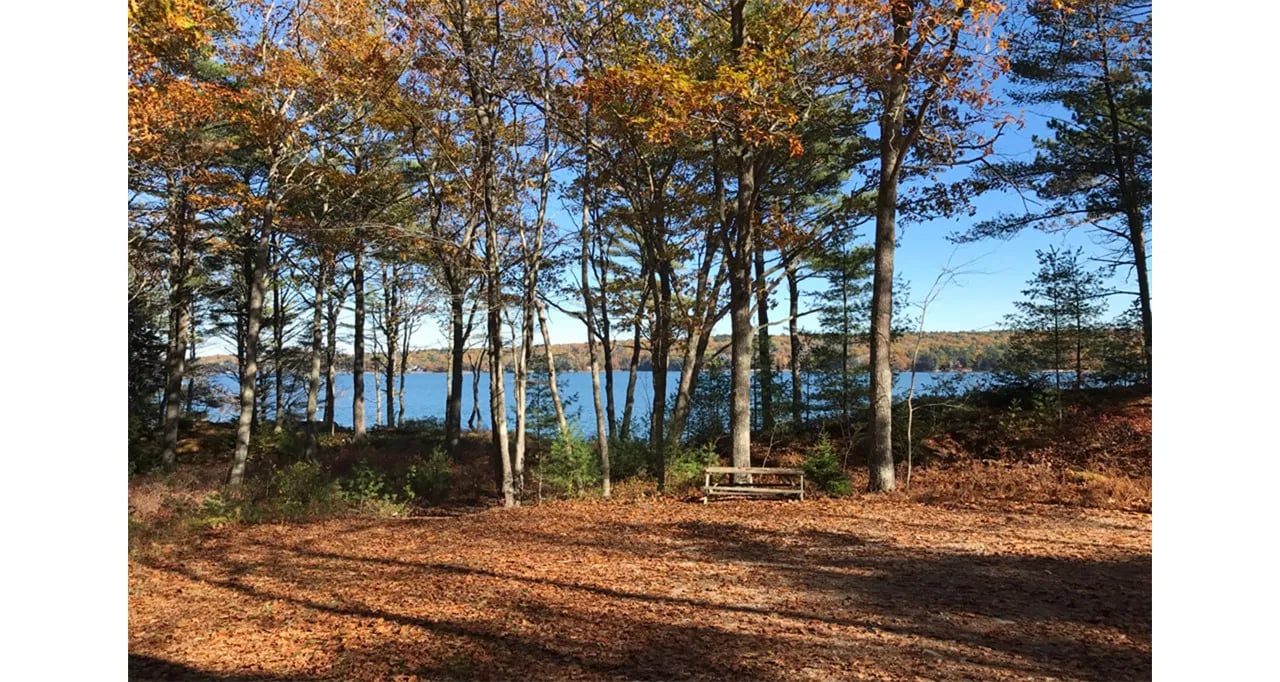 Land For Sale – 0 Lois Lane, Westport Island, Maine 04578