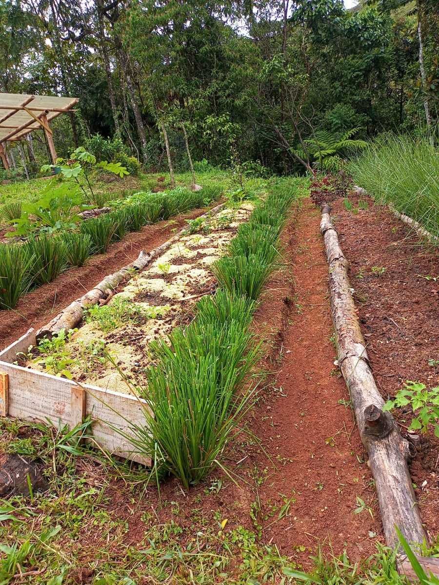 Riverfront Permaculture Farm, Perez Zeledon, San Jose