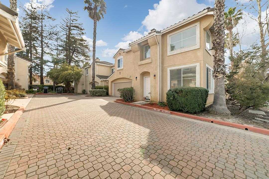 823 Sentry Palm CT