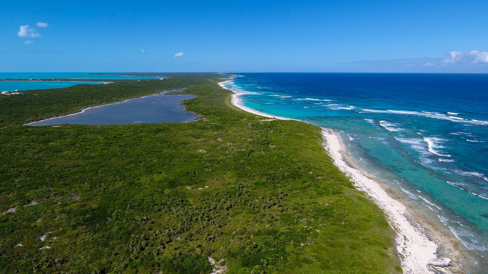 Salt Pond, Long Island