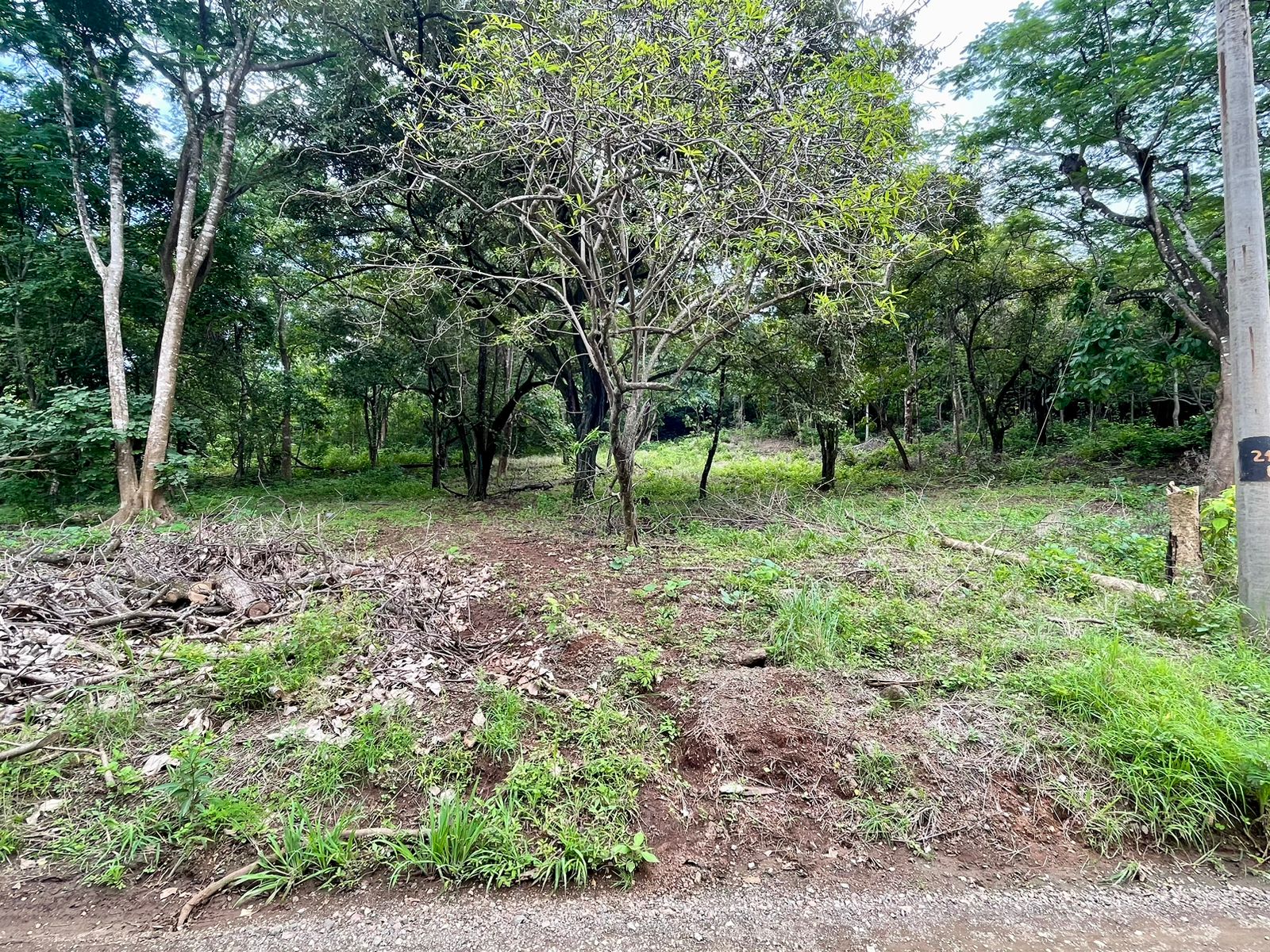 Salanitas Lot | Build Your Dream Home Near Playa Grande