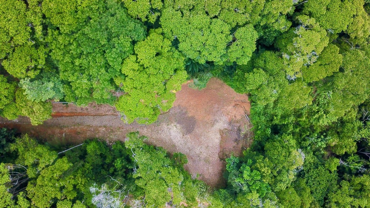 1.3 ACRES- Spectacular Ocean View Estate Lot in Lagunas de Barú, Dominical, 15min to Beaches!!!