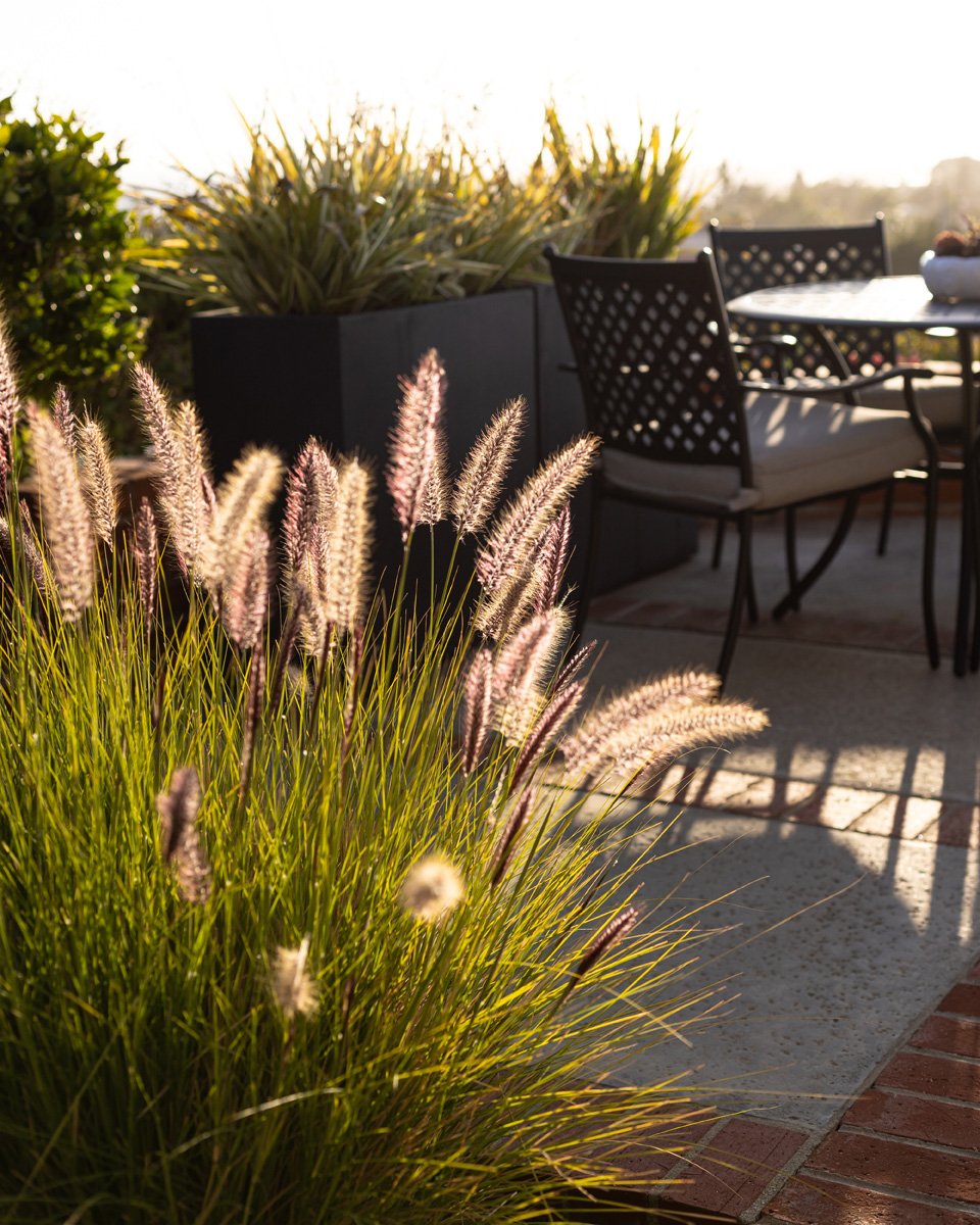 1007 White Sails Way