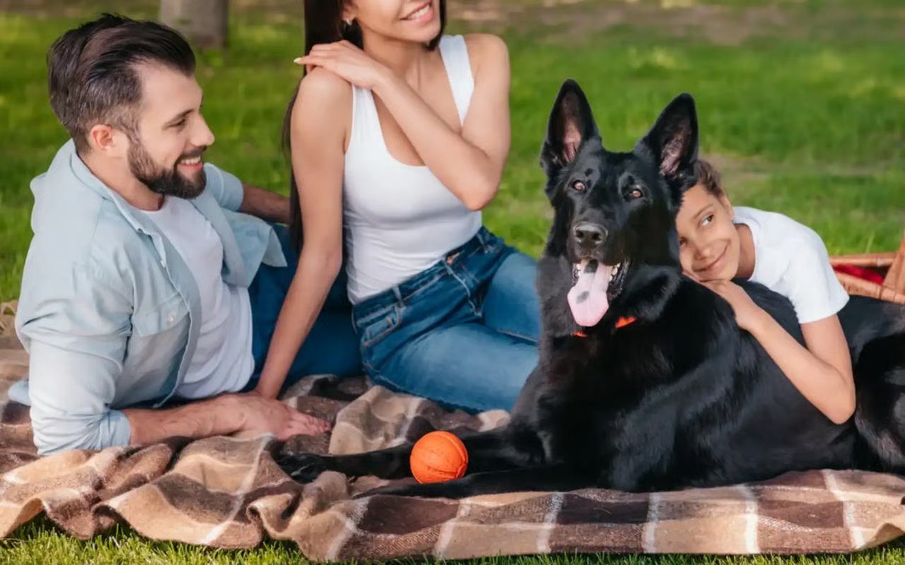 Best Picnic Spots in Arlington VA [2020]: Bust Out the Blankets and Baskets!