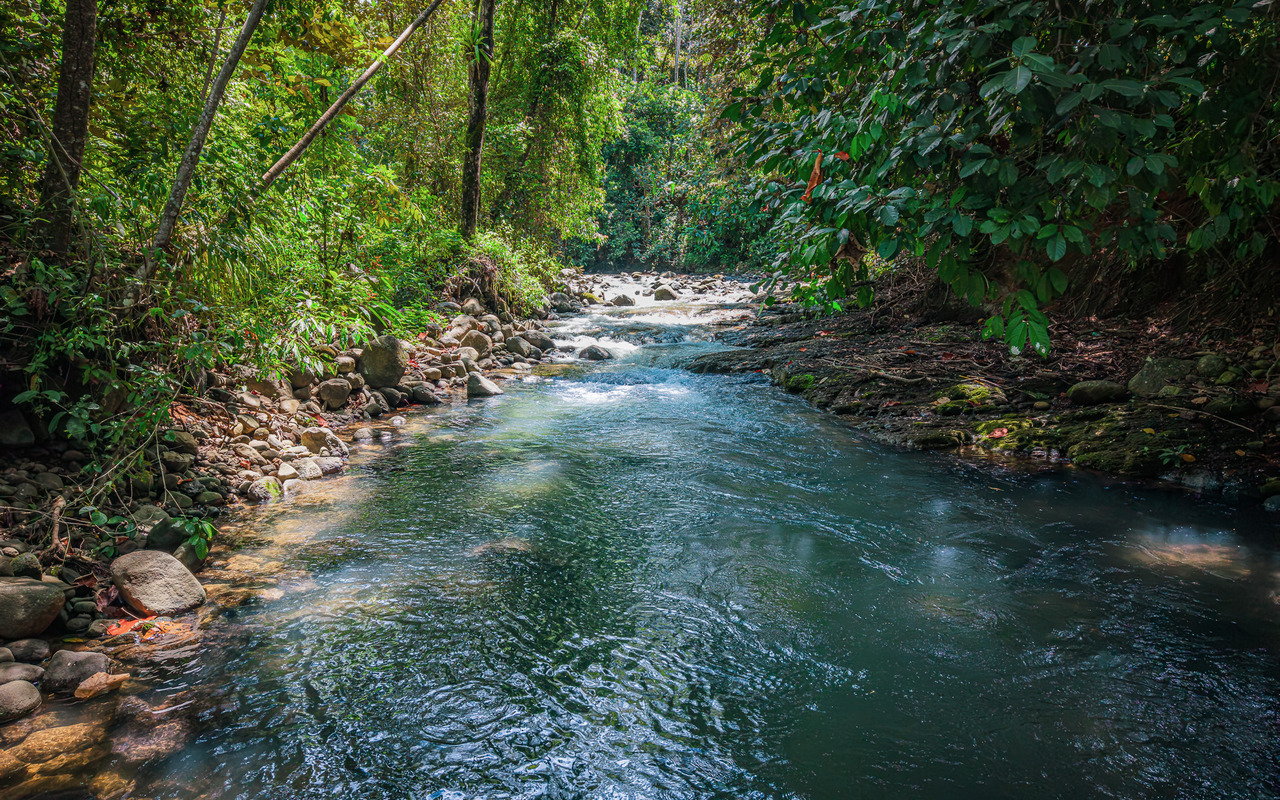 Unique Riverfront Home With Prime Location in Uvita