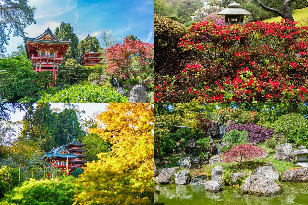 A time-lapse-style collage of the garden during all four seasons