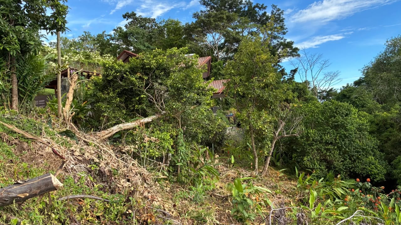 Beautiful Ocean View Lot in Ojochal Phase9
