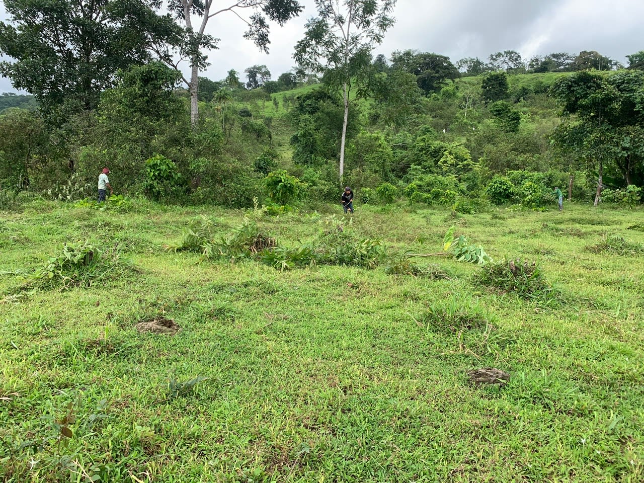 27.6 Acres On The Rio Morenos